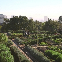 This rooftop farm in Cape Town, South Africa, was built by a non-profit micro-farming organization called Abalimi and aims to provide crops for underprivileged groups and communities.