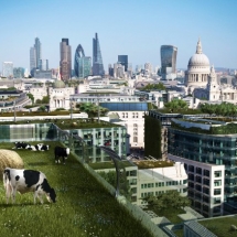 In 2015, a panel of UK urban experts predicted that cows will be grazing on top of London’s skycrapers by 2100.
