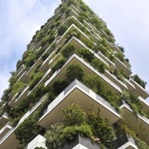 Milan’s „Vertical Forest” is an award-winning skycarper that was completed in 2014. More than 800 trees were planted on steel balconies with the aim of combating urban pollution.