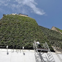 Green initiatives, such as living walls, have sprung up aroung London. 