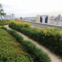 This apartment block features a rooftop garden for its residents -- an example of efforts to incorporate nature into urban life.