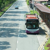 Green roofs were installed on 10 public buses in Singapore by urban greenery specialist, GWS Living Art.