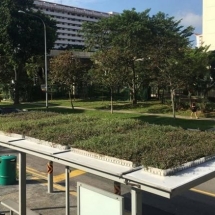 GWS Living Art has also installed a green roof on the top of a bus stop in Kuala Lumpur, Malaysia.