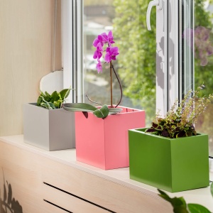 Négyzetes DiaLog virágedények beltéri térben, virágokkal beültetve.