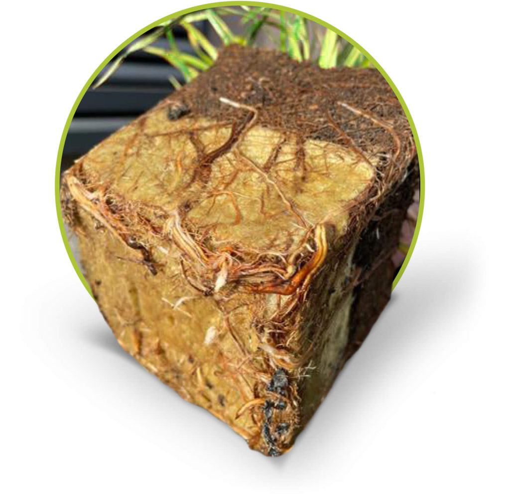 DiaWool kocka alakban